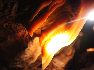 Kartchner Cavern